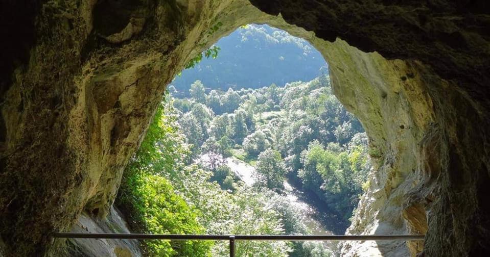 L'échappée au jardin, yourte bucolique Godinne Esterno foto